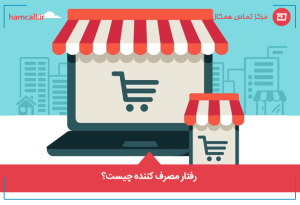 رفتار مصرف کننده چیست؟