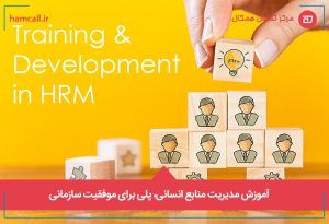 مدیریت منابع انسانی، پلی برای موفقیت سازمانی
